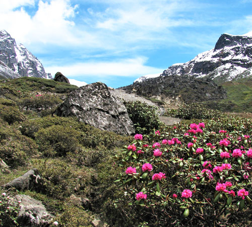 11 Days Kalimpong, Darjeeling and Sikkim Tour