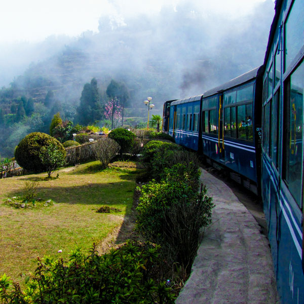 Toy train in Darjeeling