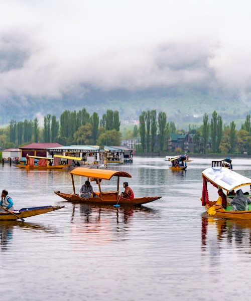 Kashmir