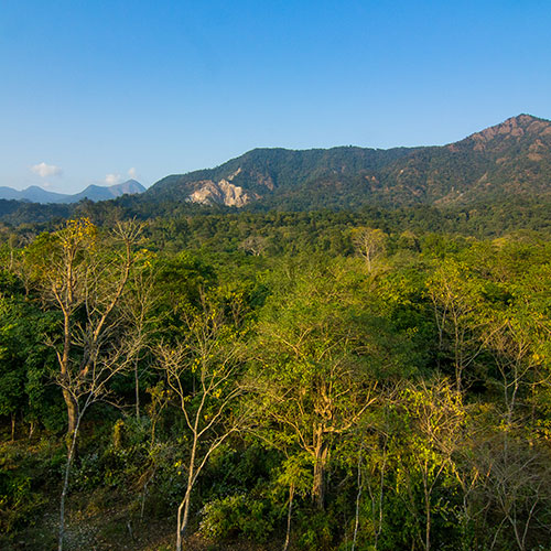 Buxa Tiger Reserve