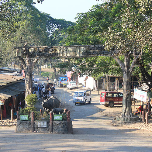 Kaziranga National Park, Assam