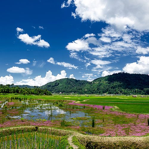 Ziro Valley, Arunachal Pradesh