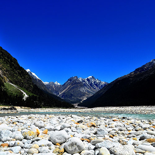 Yumthang Valley