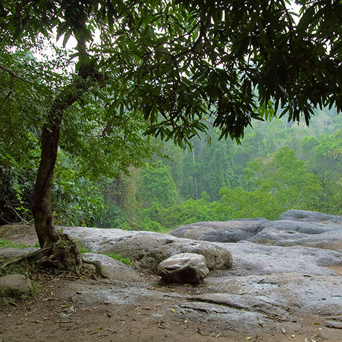 Khao Yai National Park