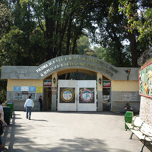 Padmaja Naidu Himalayan Zoological Park