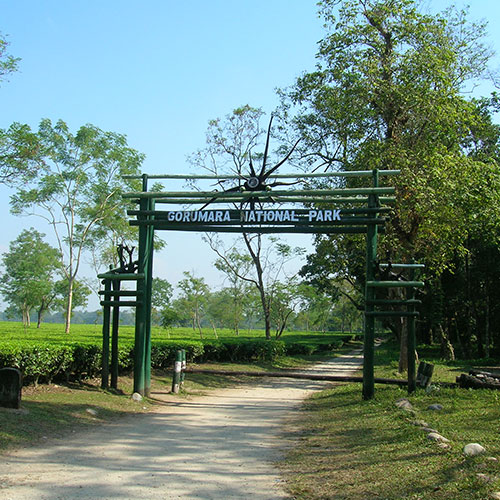 Gorumara National Park