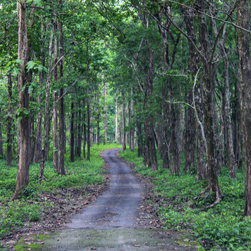 Mahanada Wildlife Sanctuary