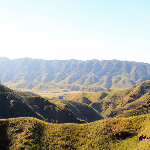 Dzukou Valley, Nagaland