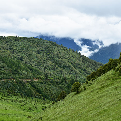 Phobjikha Valley