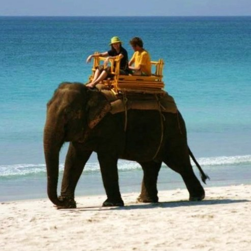 Elephant Beach
